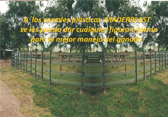 corral redondo ovalado corral con curvas corral sin esquinas corral moderno corrales redondos corral redondo para caballos cómo construir un corral redondo trabajo corral redondo corral 03 corral redondo ovalado corral con curvas corral sin esquinas corral moderno corrales redondos corral redondo para caballos cómo construir un corral redondo corral redondo ovalado corral con curvas corral sin esquinas corral moderno corrales redondos corral redondo para caballos cómo construir un corral redondo trabajo corral redondo corral 03 trabajo corral redondo corral 03